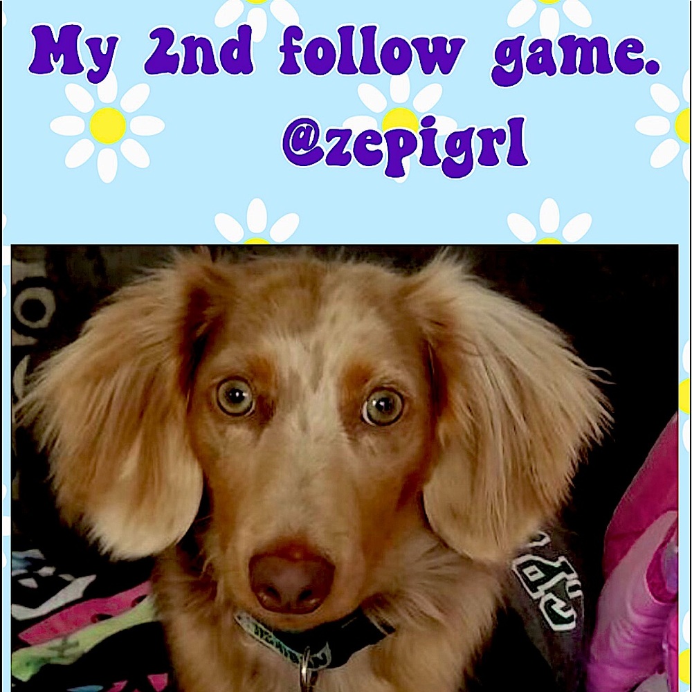 🌟PLEASE🌟 LIKE ✅. FOLLOW ✅. TAG✅. SHARE ✅. 🍭 THANK YOU 😊! 🍭